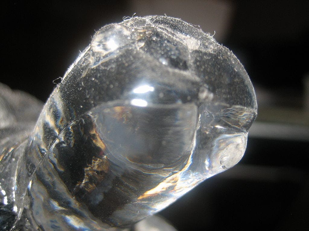 dust on a glass turtle