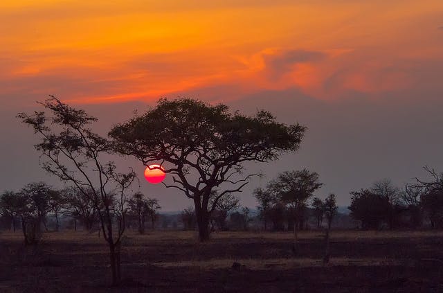 Are Serengeti Rubies Real Rubies?