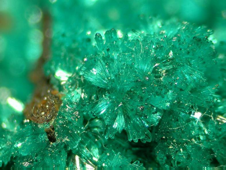 dioptase crystals - Chile