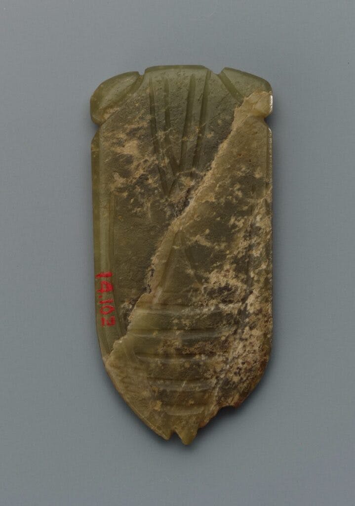 cicada tongue amulet