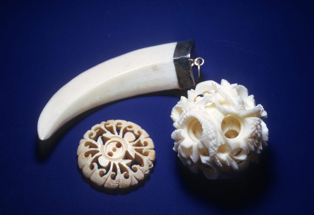 ivory jewelry - gem classification