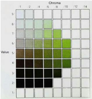 Figure 4. Munsell value and chroma for hue 5G. (From Precise Color Communication: Color Control from Feeling to Instrumentation, p.17; courtesy of Minolta Camera Company, Ltd. Japan.)