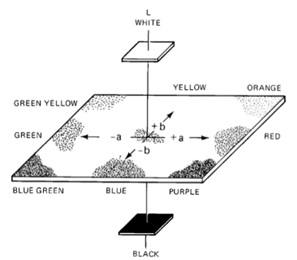 Figure 5A. Lab color space as conceived by Richard S.Hunter