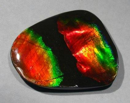 16.65-ct Canadian Ammolite