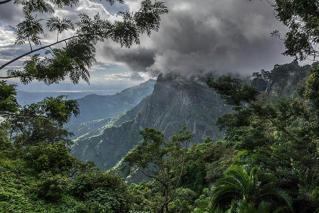 the Usambara Mountains