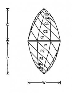 Twirl Jeff Graham Facet Design2