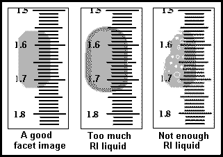 Examples of gem images on the refractometer scale